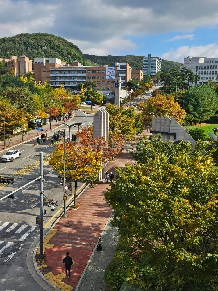경기도 용인시 수지구 죽전동 상가 사진 1