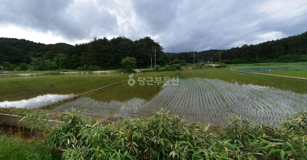 강원특별자치도 고성군 거진읍 토지 사진 1