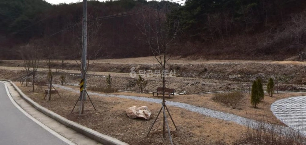 경상북도 봉화군 법전면 토지 사진 1