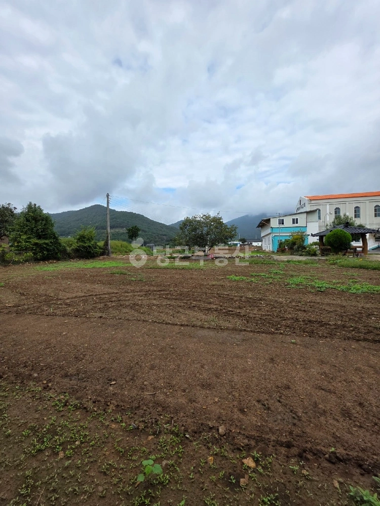 경상남도 남해군 상주면 토지 사진 1