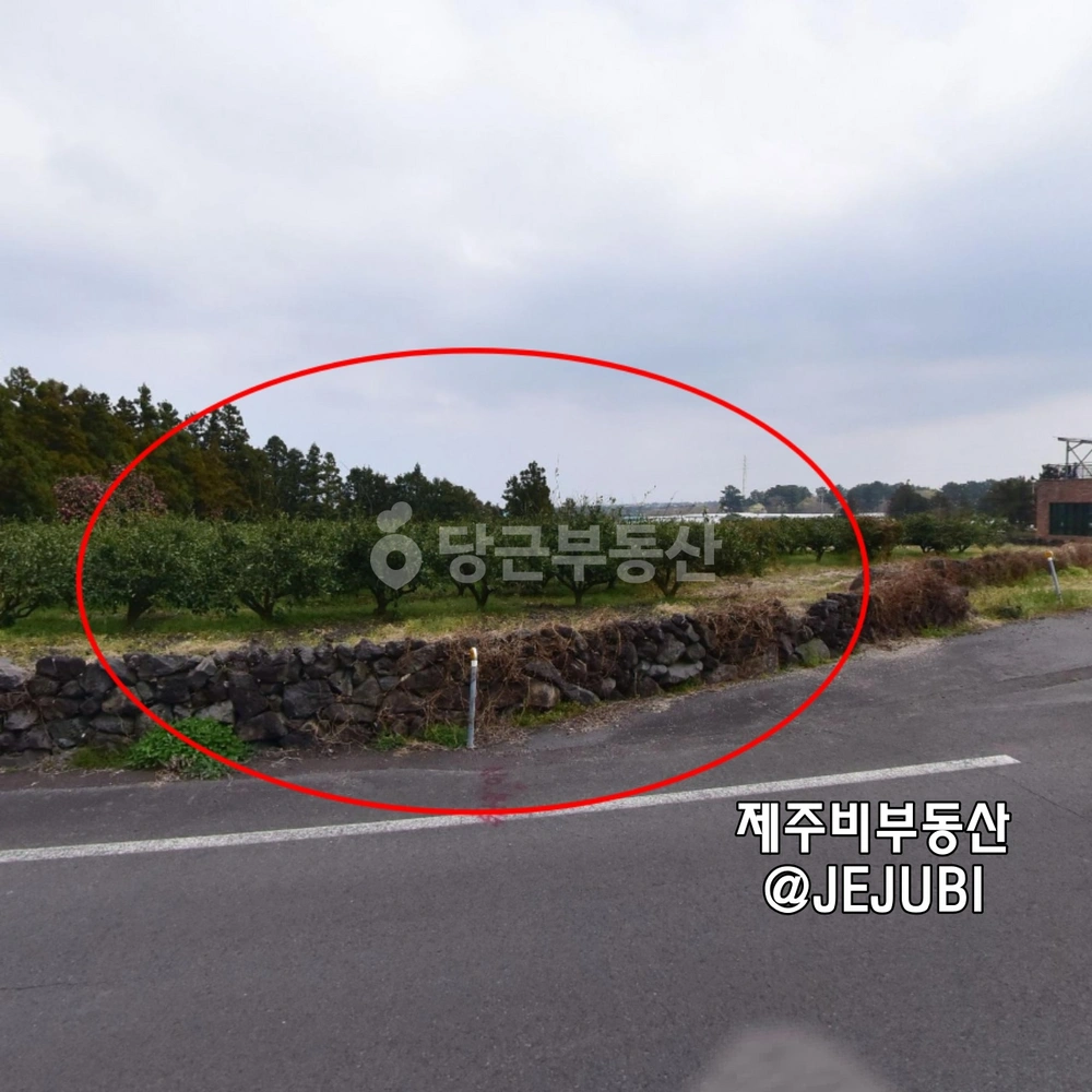 제주특별자치도 제주시 조천읍 토지 사진 1