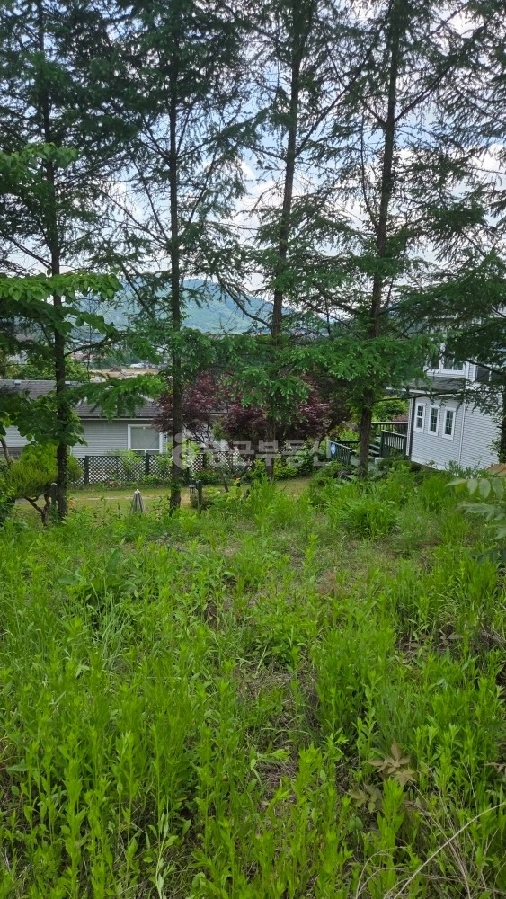 경기도 남양주시 수동면 토지 사진 1