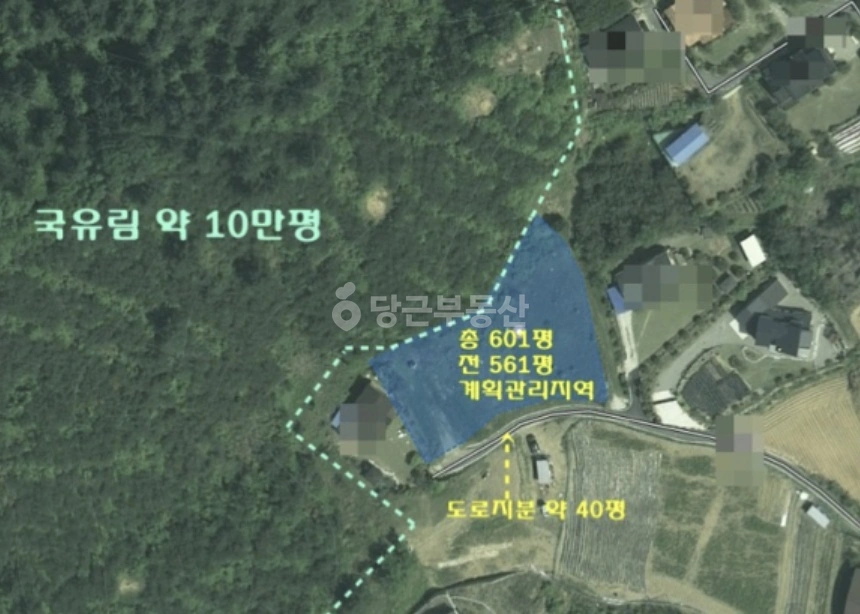 경기도 양평군 단월면 토지 사진 1