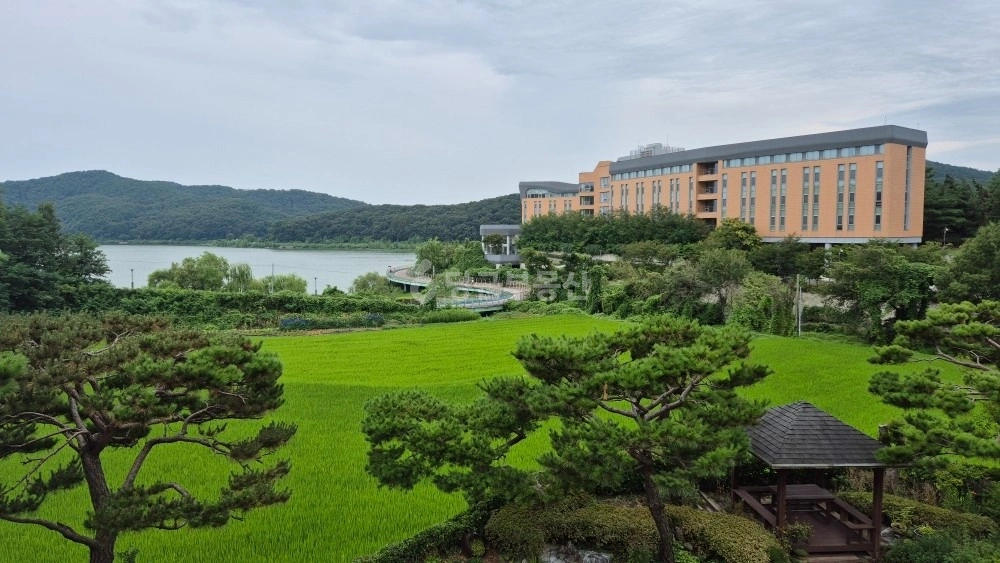 경기도 용인시 기흥구 하갈동 단독/전원주택 사진 1