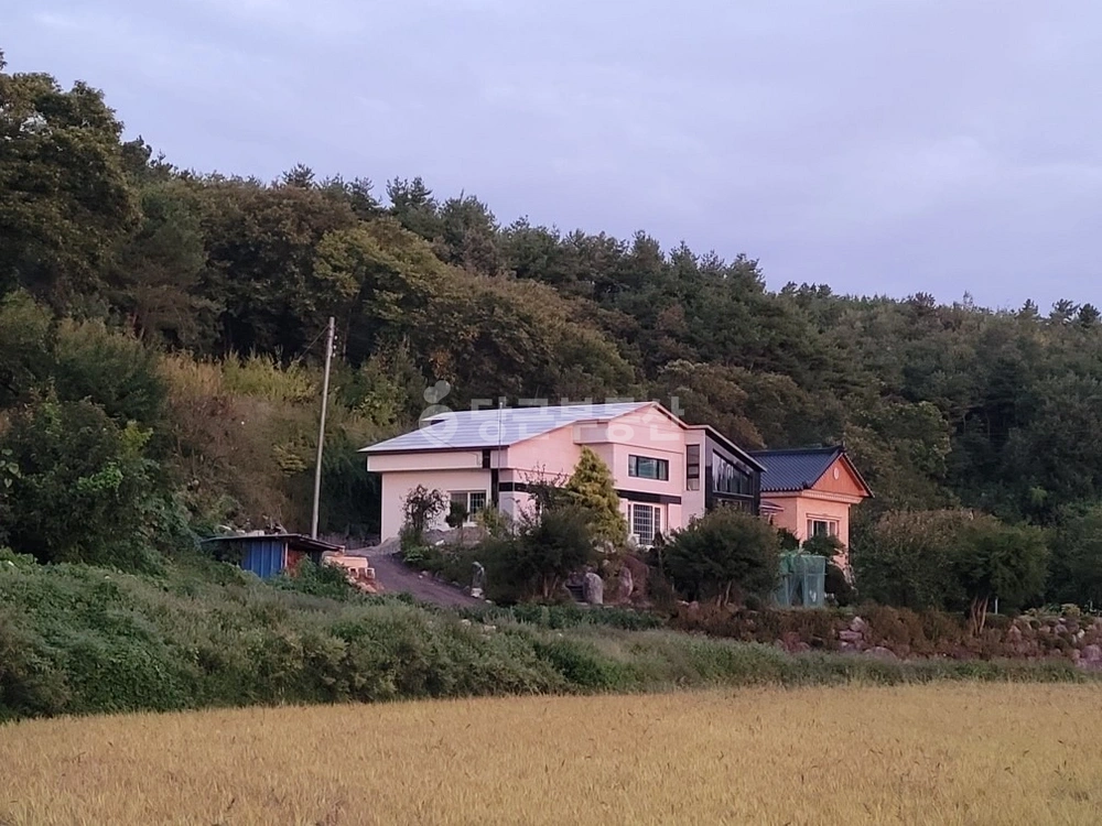 강원특별자치도 양양군 강현면 단독/전원주택 사진 1