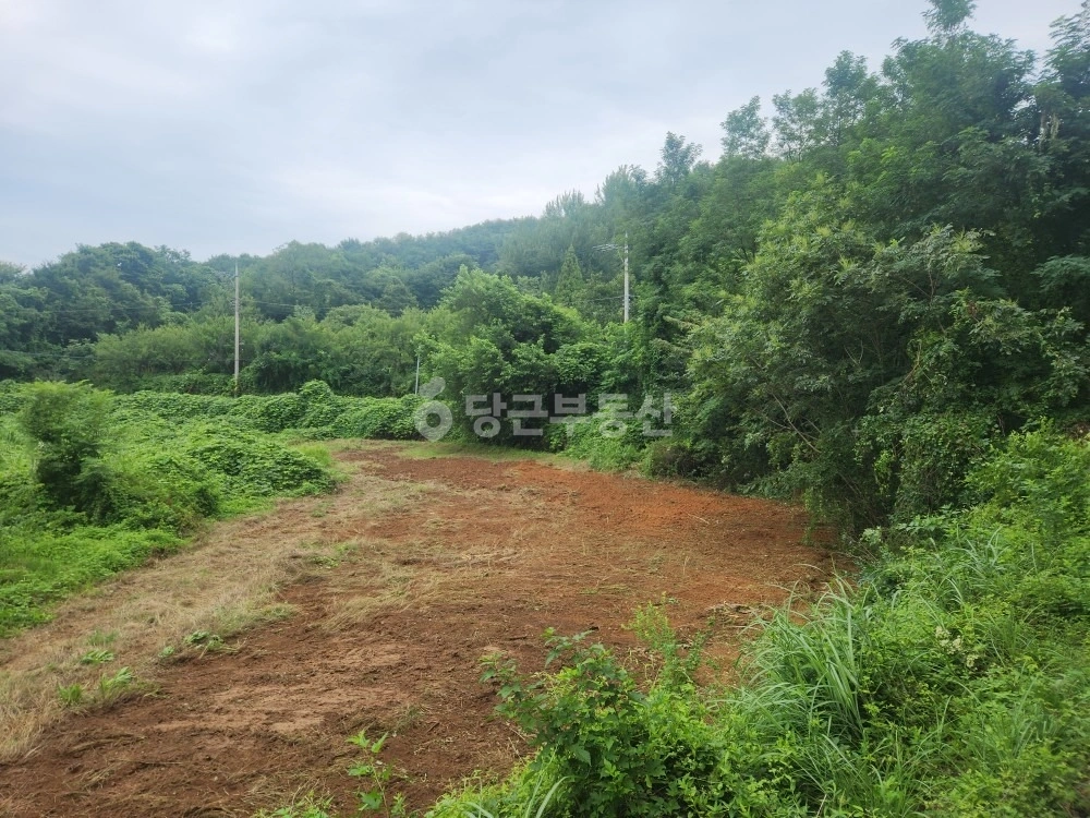 경상남도 밀양시 산내면 토지 사진 1
