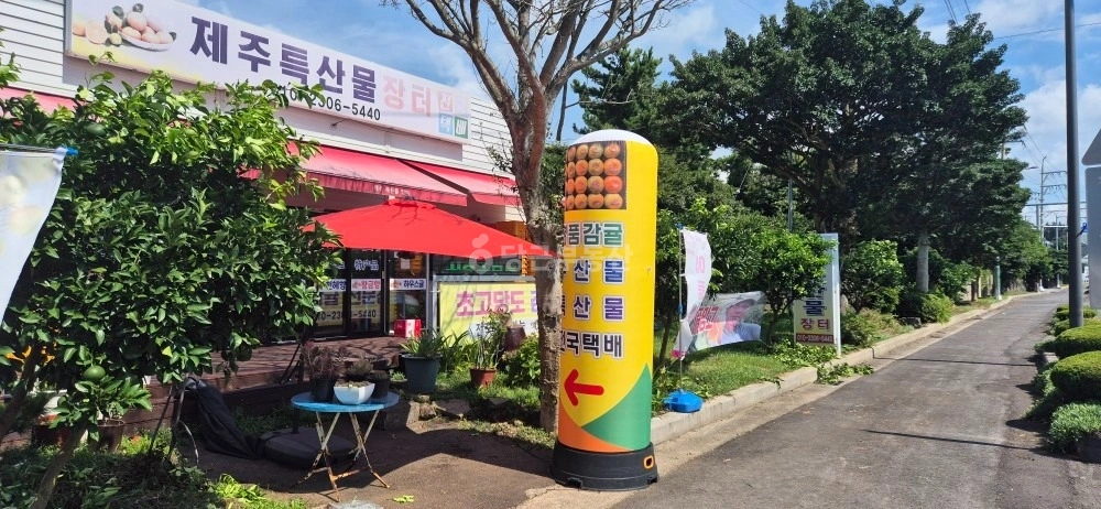 제주특별자치도 서귀포시 남원읍 공장/창고 사진 1