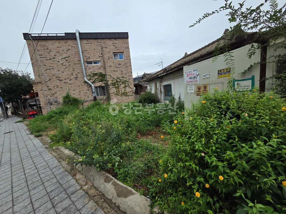 경기도 평택시 팽성읍 토지 사진 1