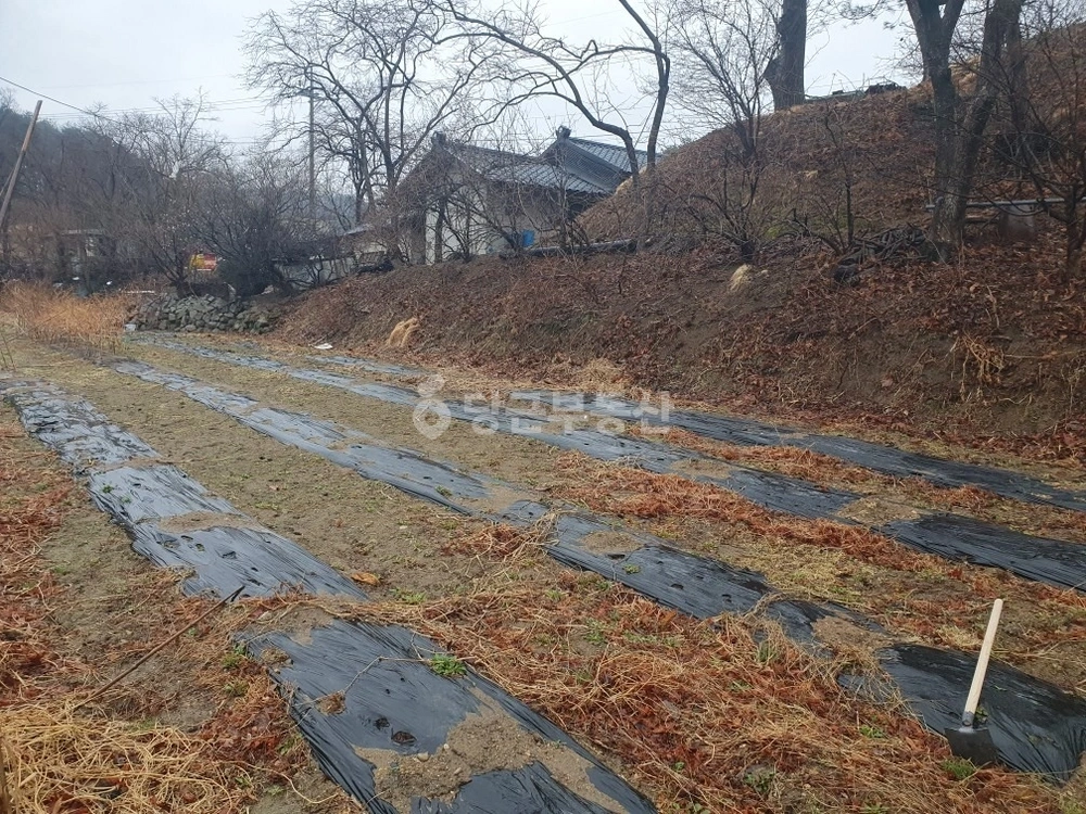강원특별자치도 양양군 손양면 토지 사진 1