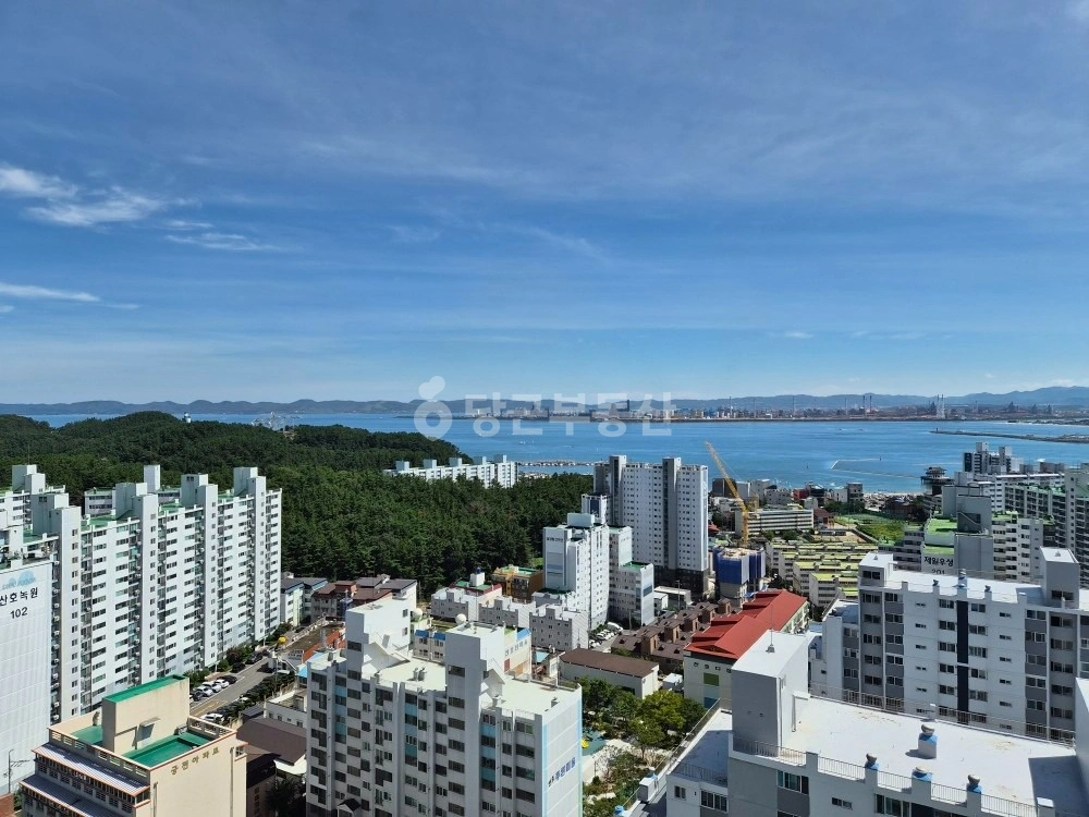 경상북도 포항시 북구 두호동 아파트 사진 1
