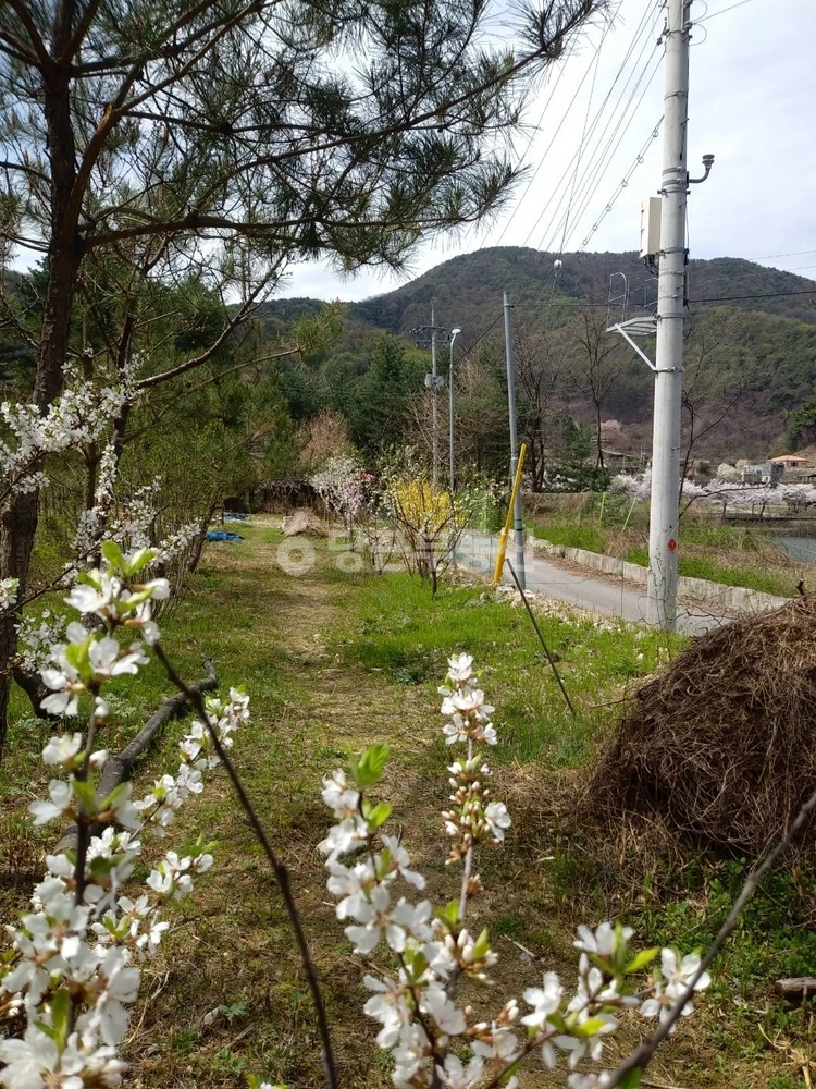 경상북도 영주시 풍기읍 토지 사진 1