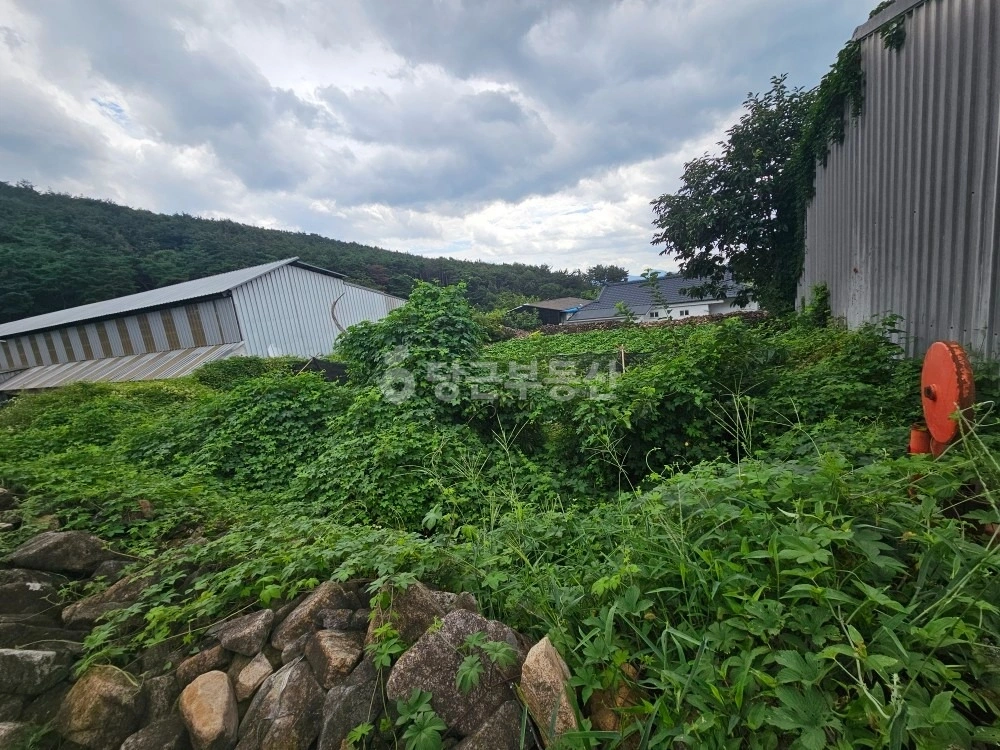 울산광역시 울주군 언양읍 토지 사진 1
