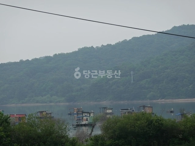 경기도 안성시 고삼면 토지 사진 1