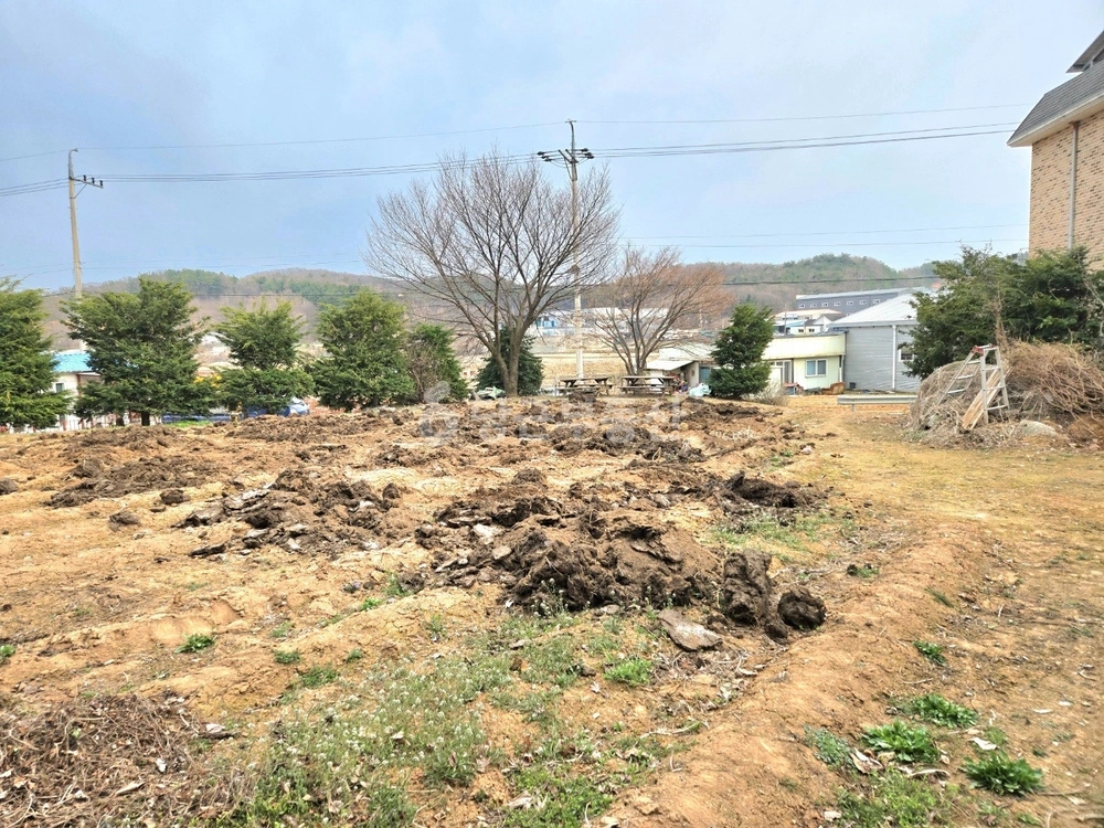 경기도 광주시 도척면 토지 사진 1