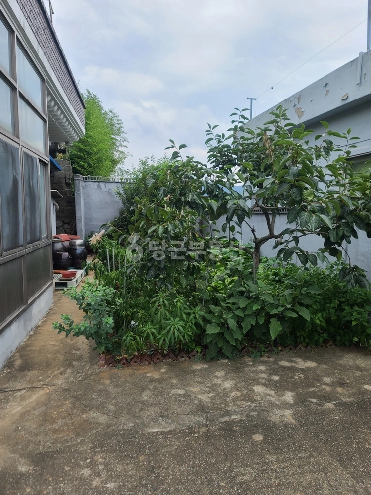 경상남도 김해시 진영읍 단독/전원주택 사진 1