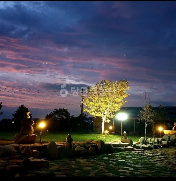 경상북도 경주시 평동 토지 사진 1