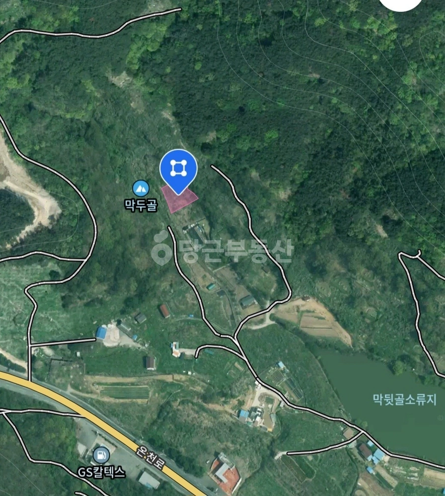 경상남도 창녕군 부곡면 토지 사진 1