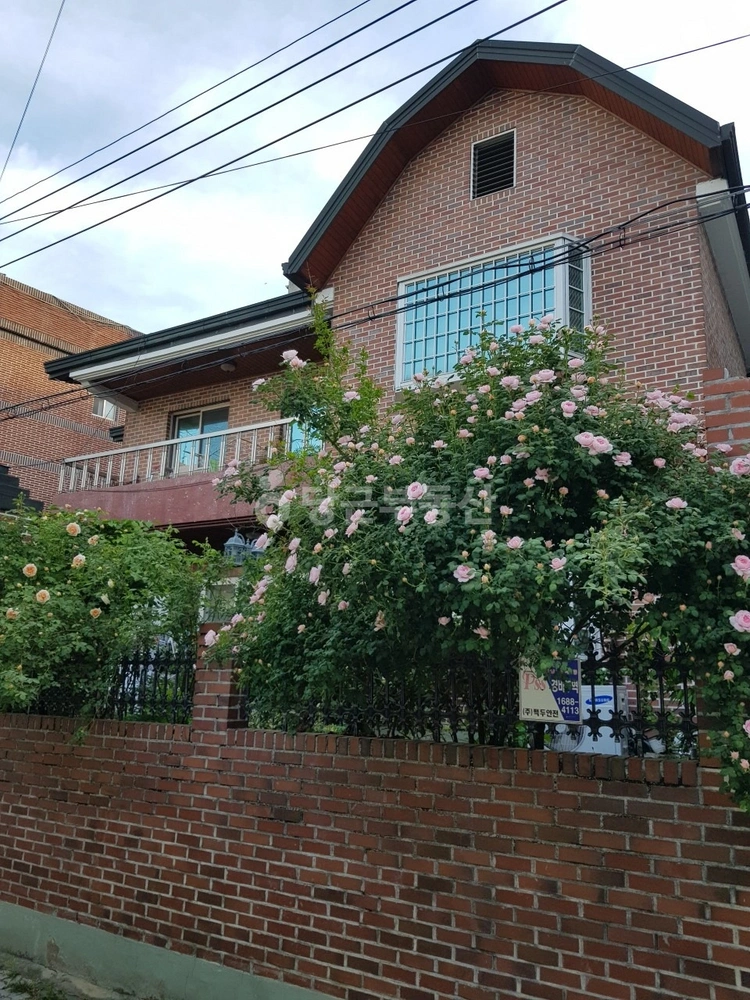 대구광역시 북구 복현동 단독/전원주택 사진 1