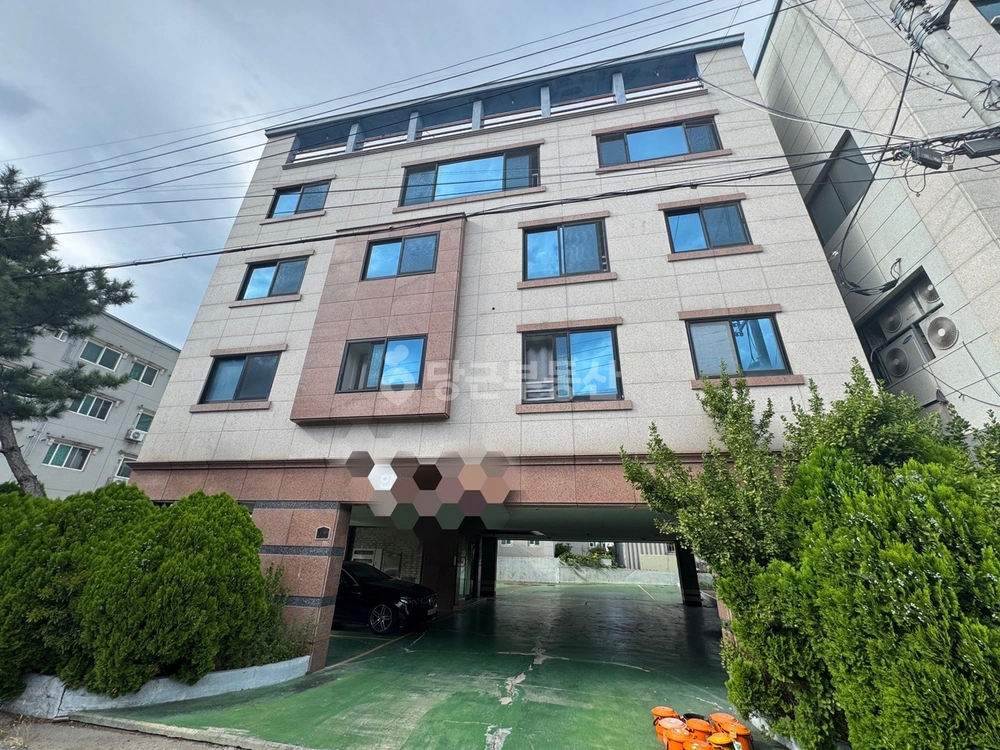 경상북도 포항시 북구 장성동 건물 사진 1