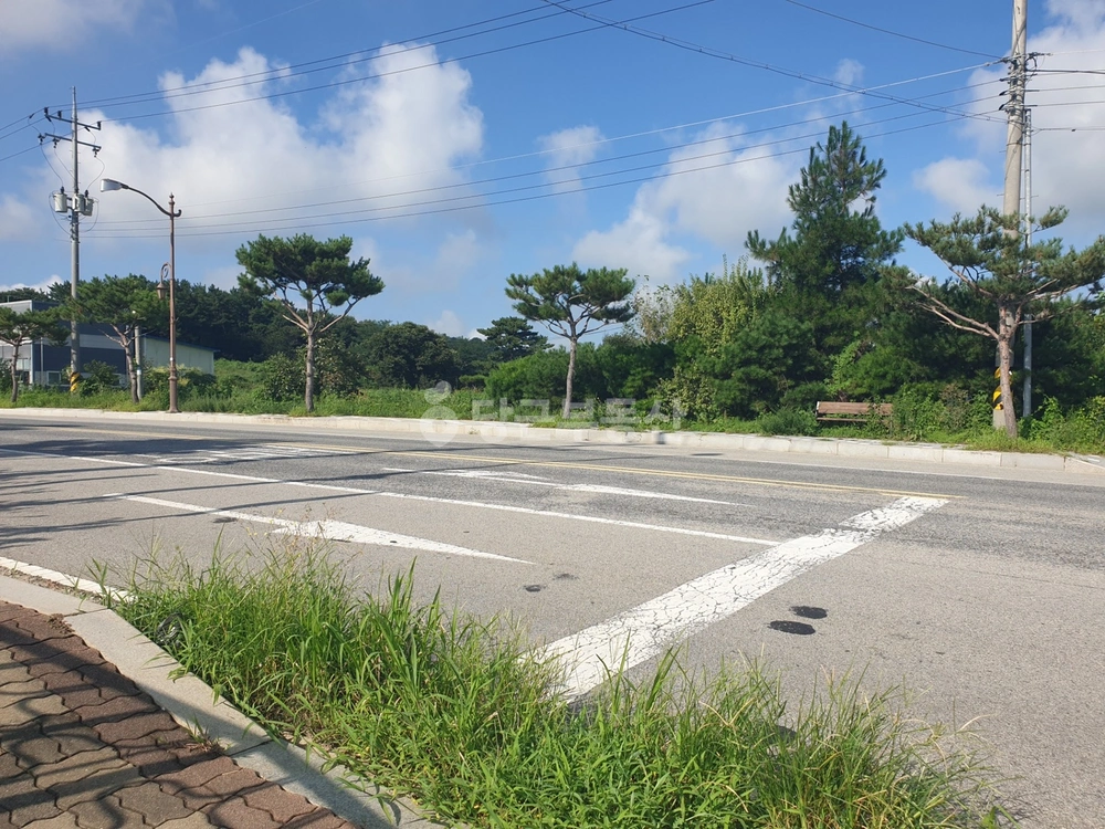 충청남도 예산군 삽교읍 토지 사진 1