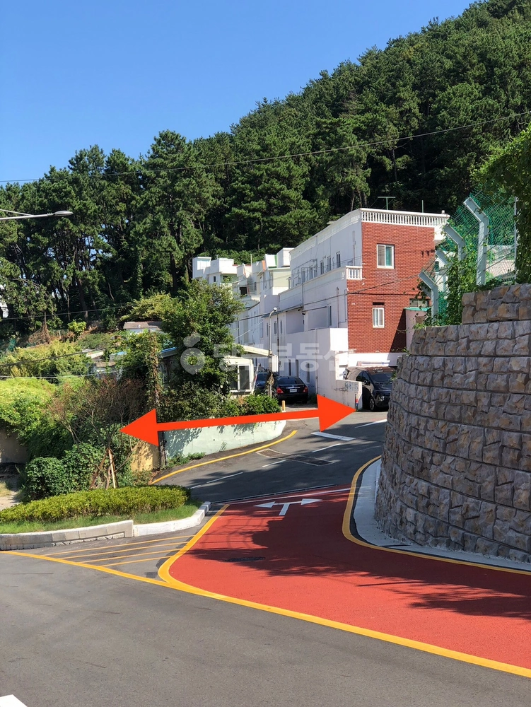 부산광역시 사하구 장림동 토지 사진 1