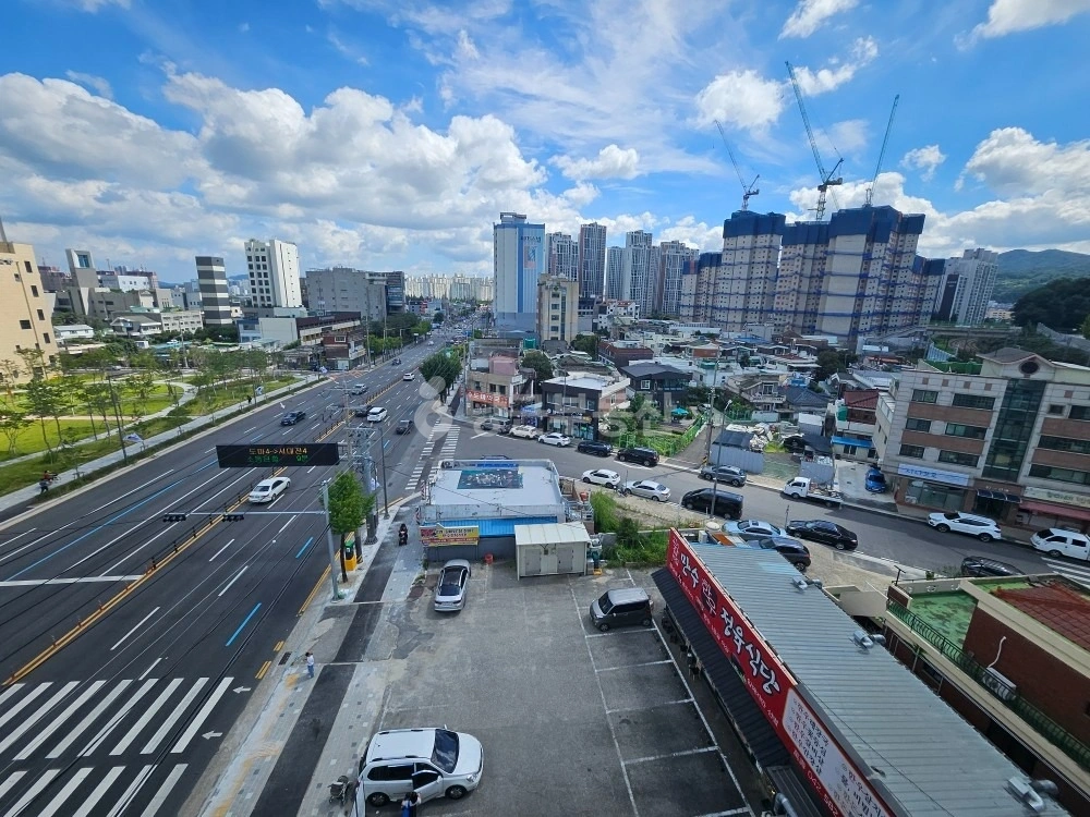 대전광역시 서구 도마동 토지 사진 1
