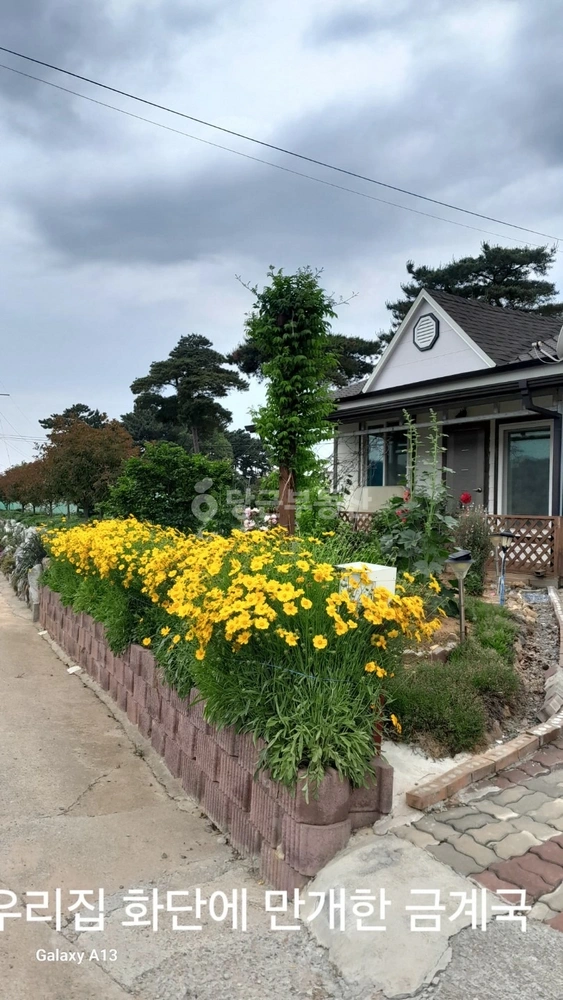 충청남도 태안군 근흥면 단독/전원주택 사진 1