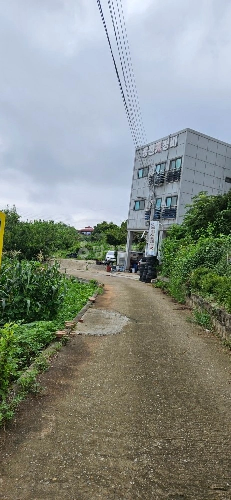 경기도 안산시 단원구 대부북동 토지 사진 1