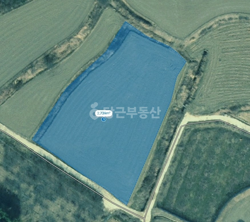 전남광주통합특별시 나주시 동강면 토지 사진 1