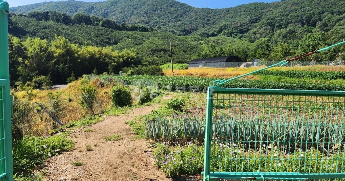 도로 인접 주말농장 전세 80 | 당근 부동산