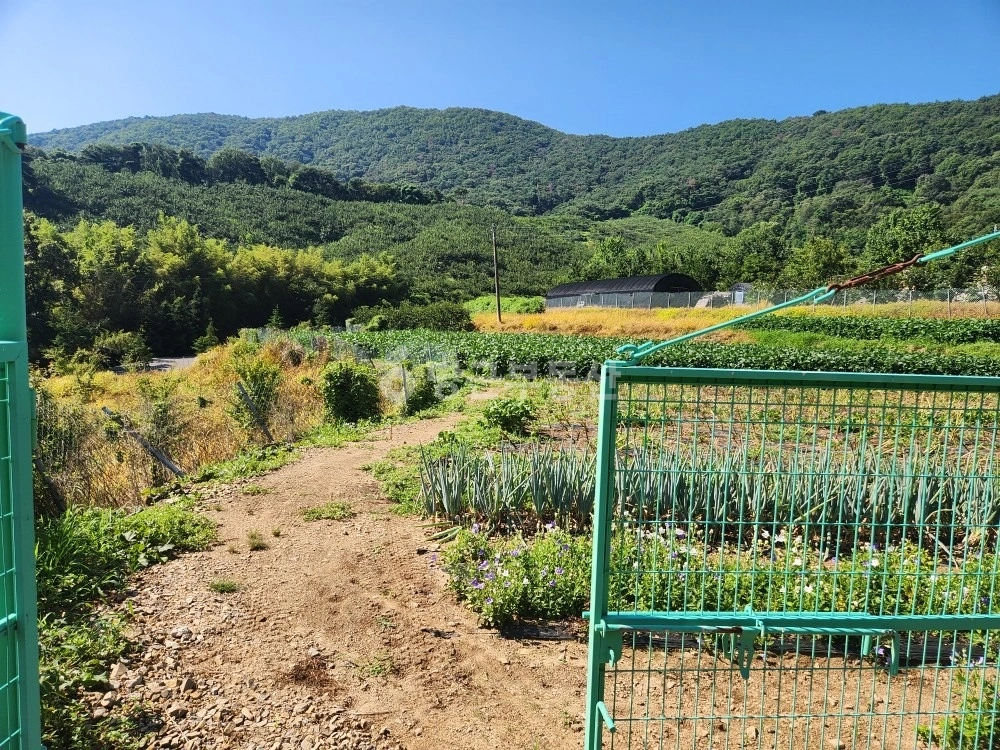 도로 인접 주말농장 전세 80 | 당근 부동산