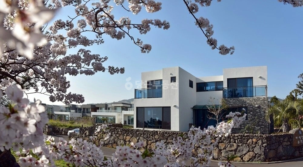 제주특별자치도 서귀포시 하예동 단독/전원주택 사진 1