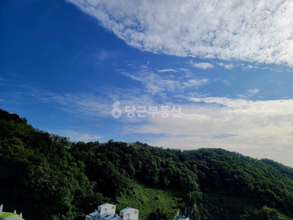 부산광역시 사하구 당리동 아파트 사진 1