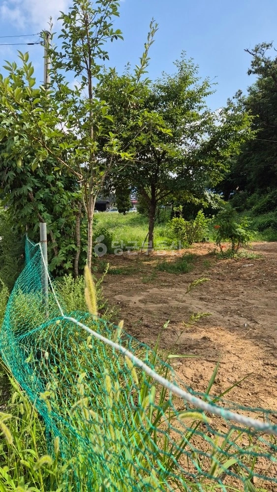 경기도 용인시 기흥구 하갈동 토지 사진 1