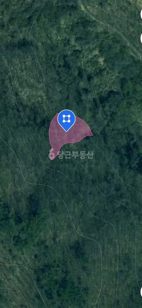 충청북도 괴산군 문광면 토지 사진 1