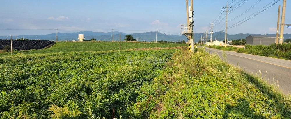 충청남도 서산시 고북면 토지 사진 1