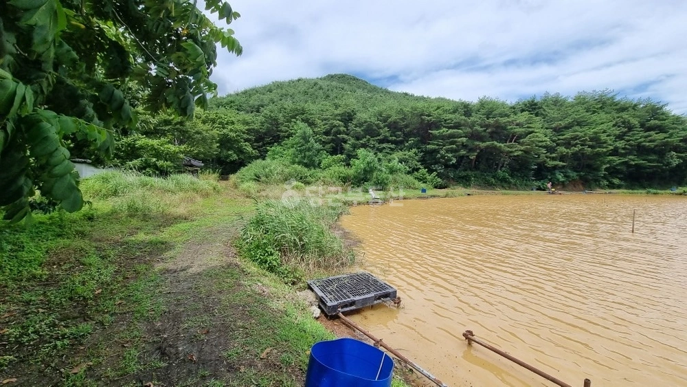 울산광역시 울주군 삼남읍 토지 사진 1