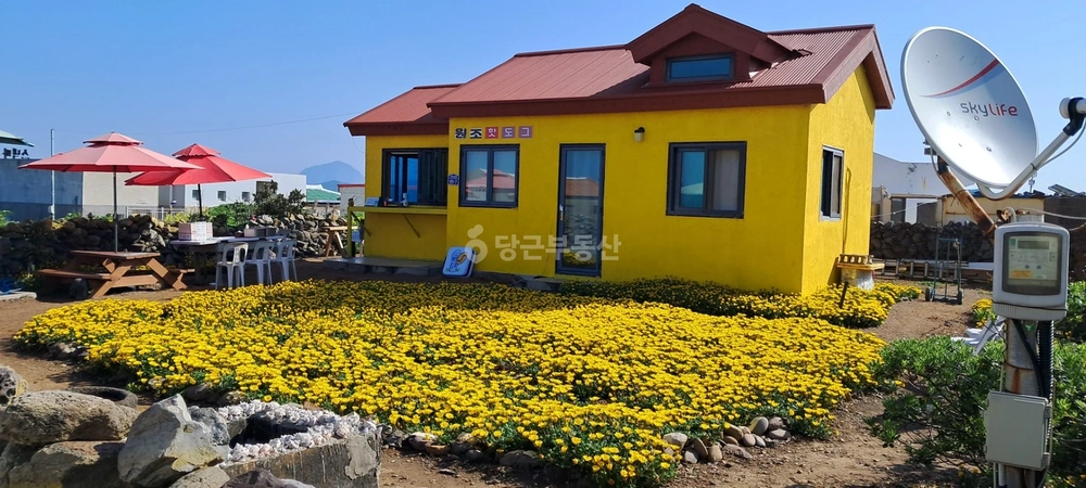제주특별자치도 서귀포시 대정읍 상가 사진 1