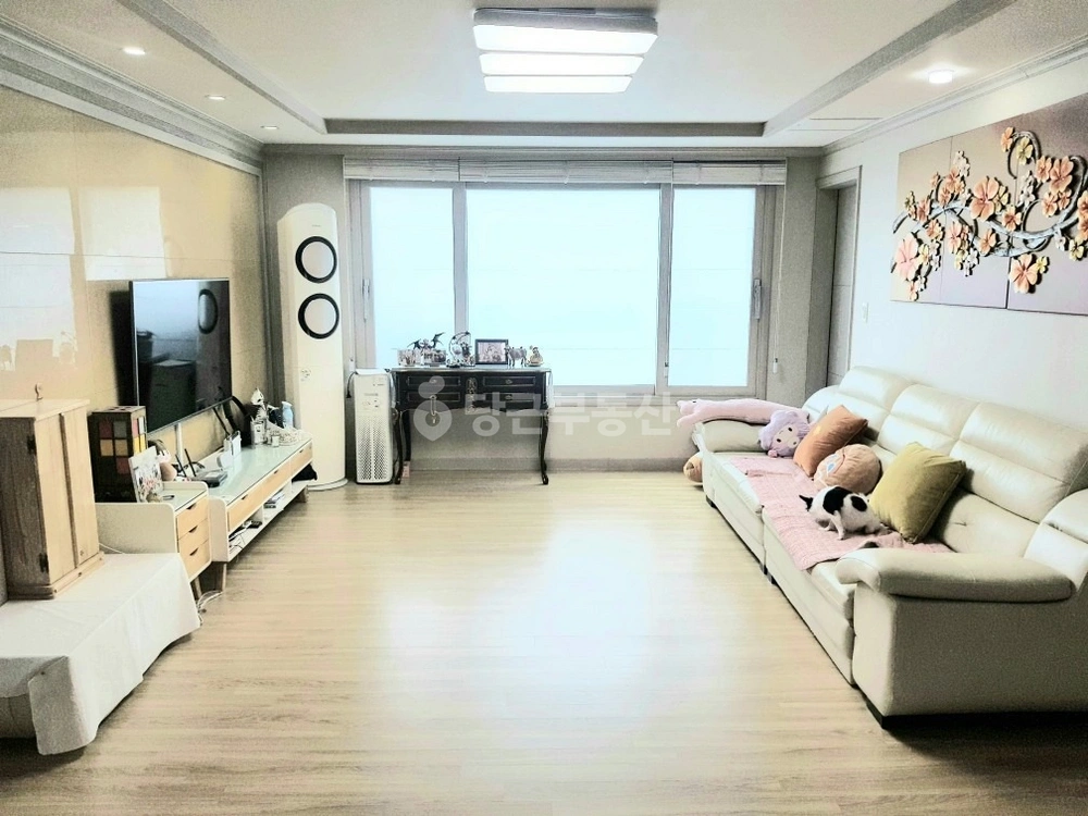경상북도 경산시 사동 빌라(투룸 이상) 사진 1