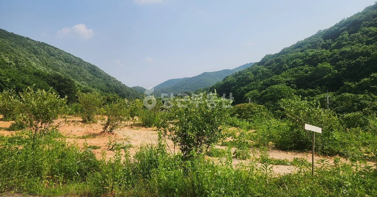 남창계곡근처 매매 9,000 | 당근 부동산