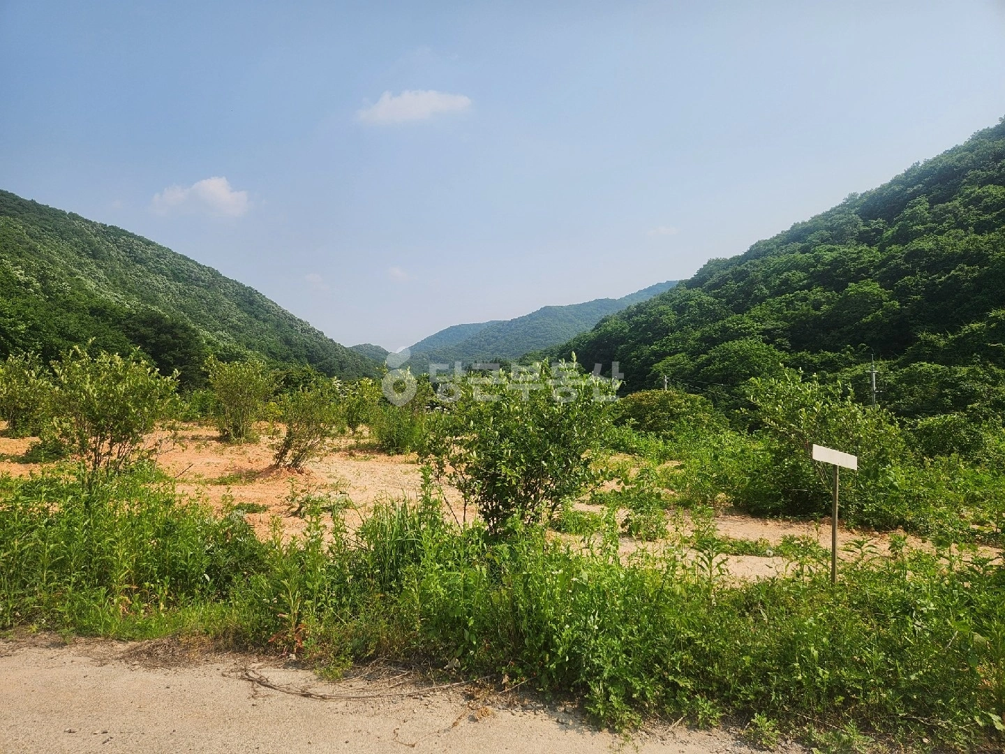 남창계곡근처 매매 9,000 | 당근 부동산