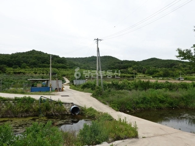 경상북도 의성군 점곡면 토지 사진 1