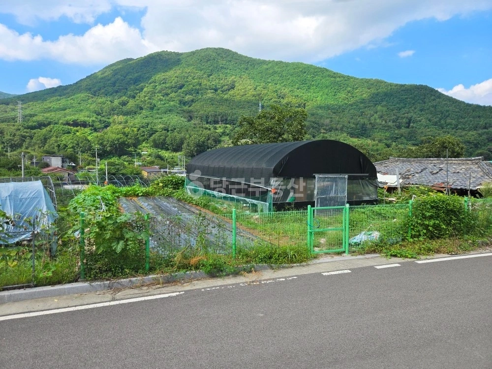대구광역시 달성군 가창면 토지 사진 1