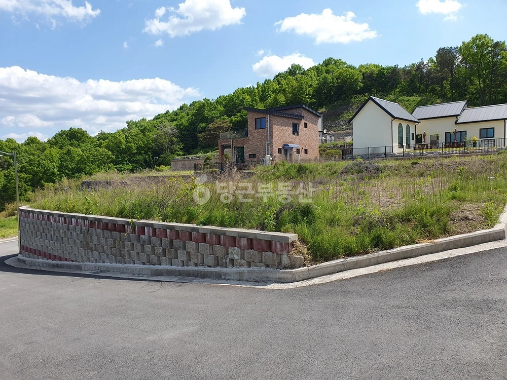 전남광주통합특별시 화순군 도곡면 토지 사진 1