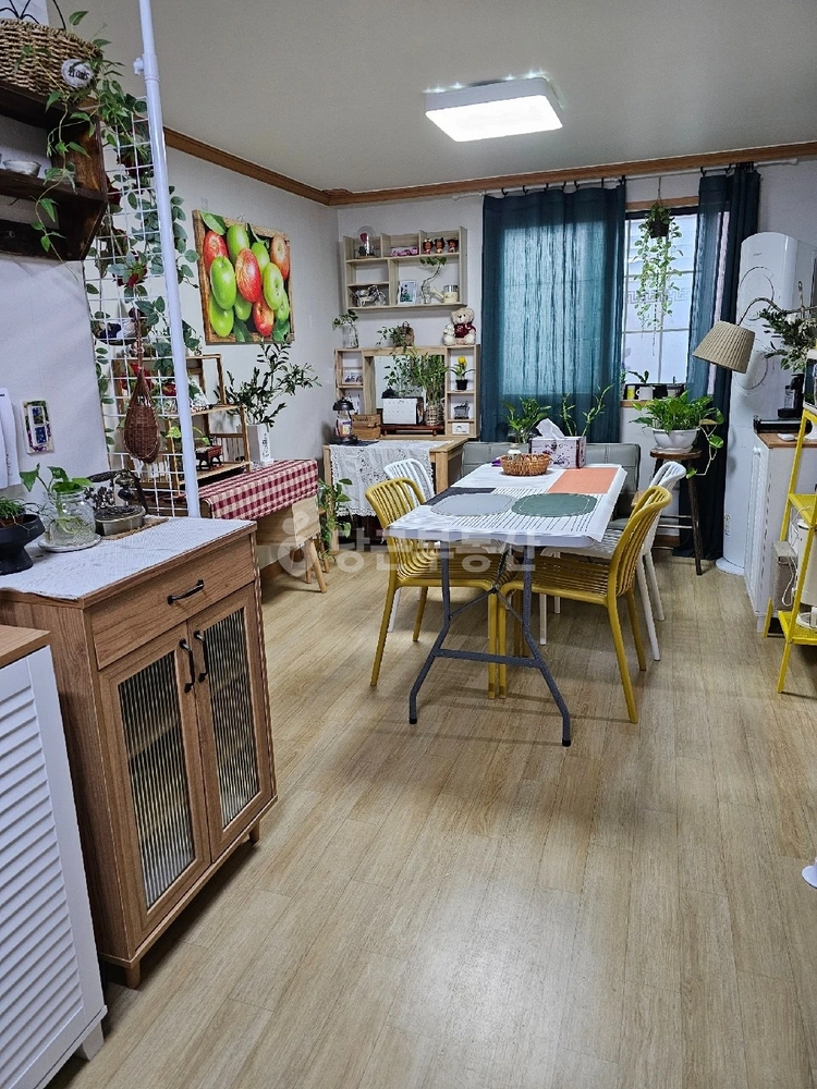 대구광역시 북구 구암동 빌라(투룸 이상) 사진 1