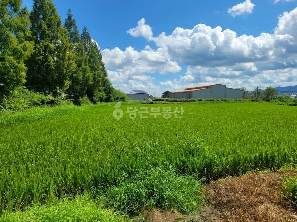 전북특별자치도 정읍시 용계동 토지 사진 1
