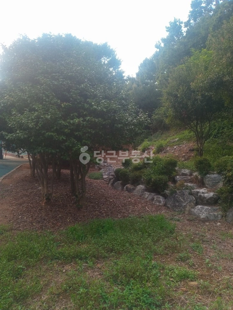 전남광주통합특별시 여수시 호명동 토지 사진 1