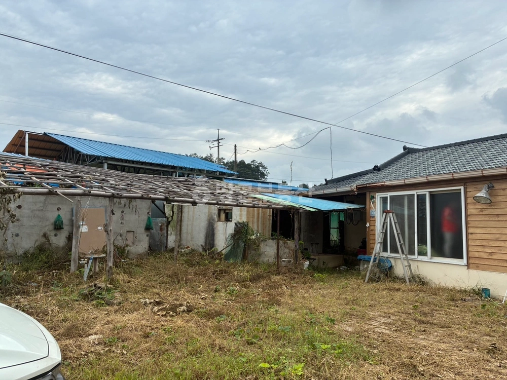 충청북도 증평군 도안면 토지 사진 1