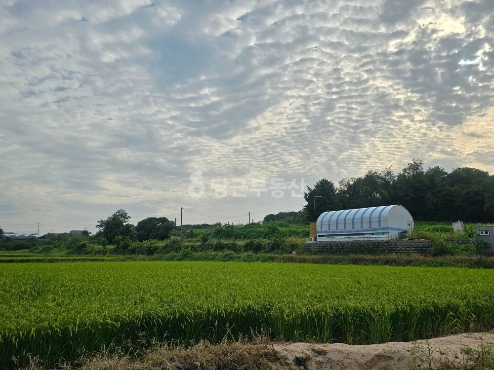 충청남도 홍성군 홍북읍 토지 사진 1