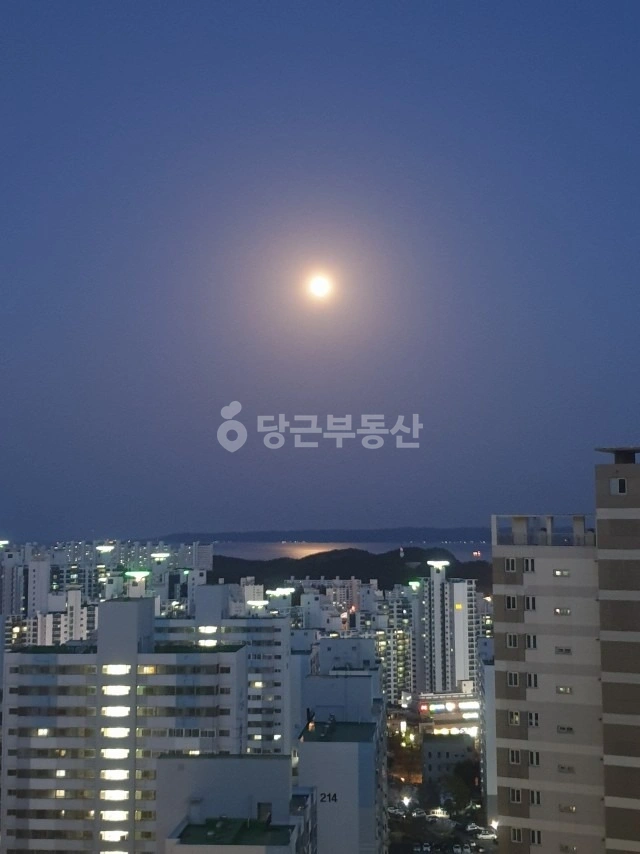 경상북도 포항시 북구 창포동 아파트 사진 1